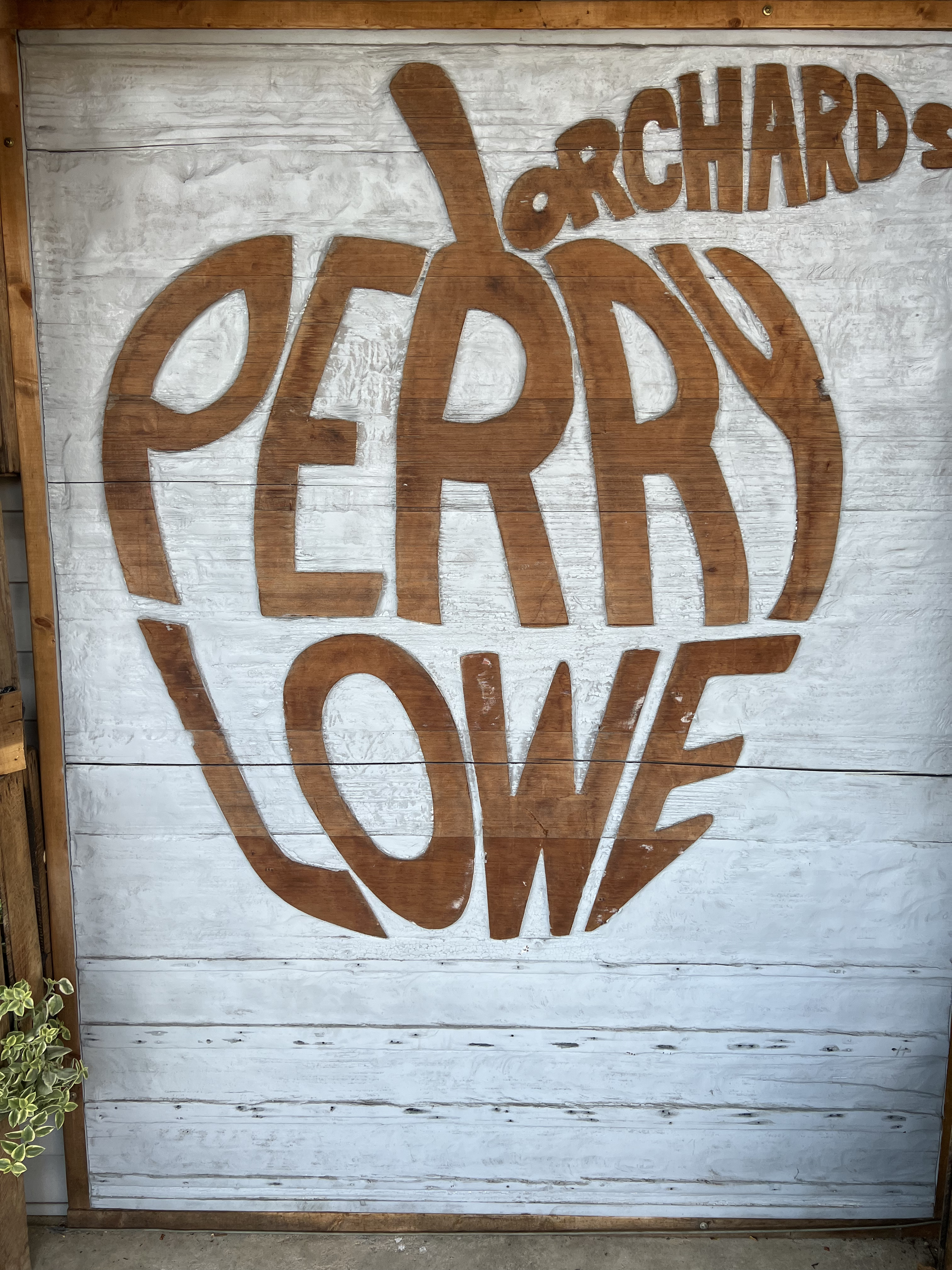 ./2023/13 - Elkin/IMG_0516.jpg